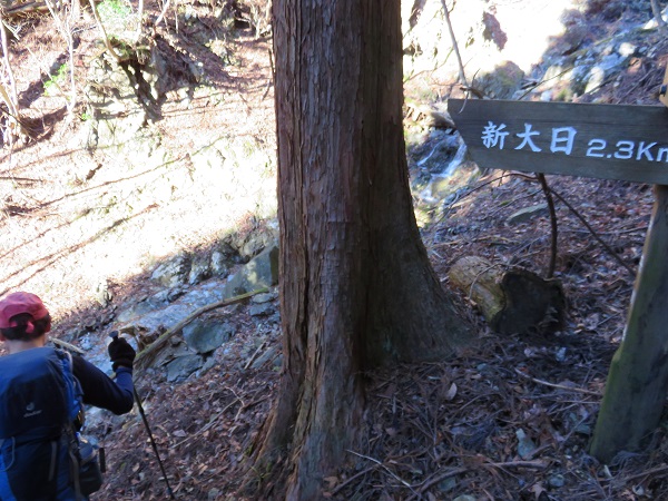 真新しい看板