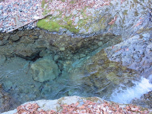 水がとても綺麗