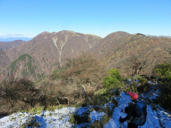 遠くに蛭ヶ岳