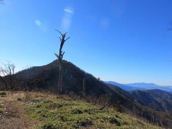 振り返っての塔ノ岳