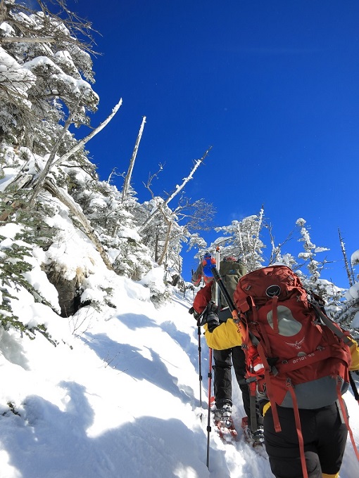 北横岳ヒュッテまでの登山ルート様子