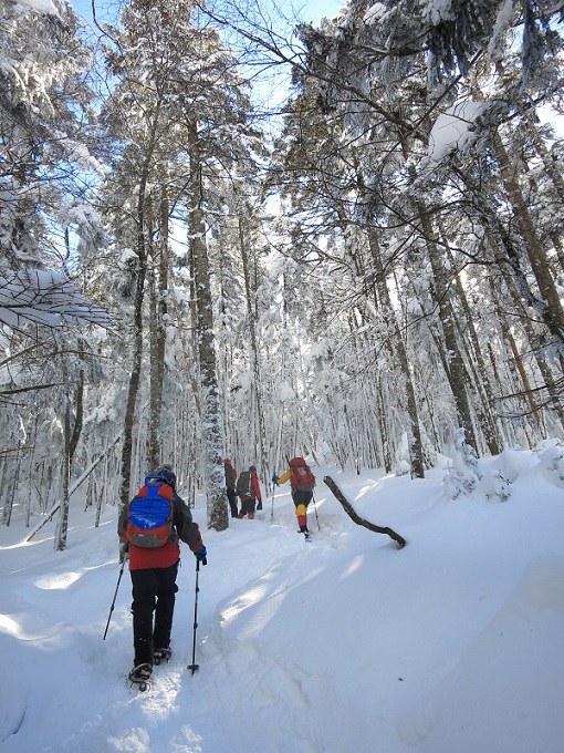 茶臼山への登山ルートの詳細