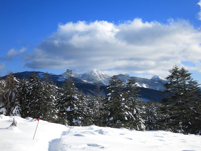 スノートレッキングのルート目印