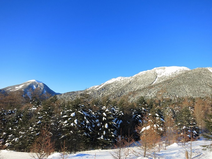 縞枯山・茶臼山遠望