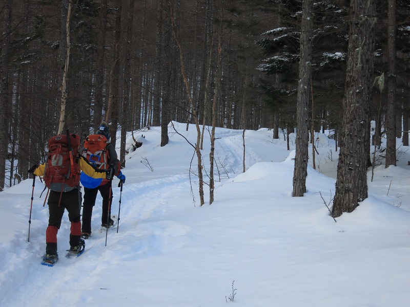 f:id:aohige0718:20161223171759j:plain 稲子湯からシラビソ小屋の間のルートの様子