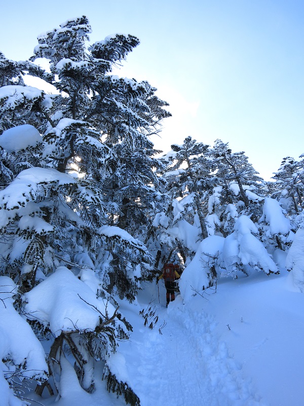 根石山荘から夏沢峠・本沢温泉登山ルートの詳細