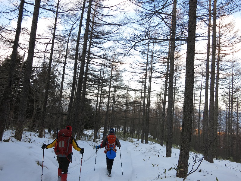 本沢温泉への登山道の様子と積雪具合