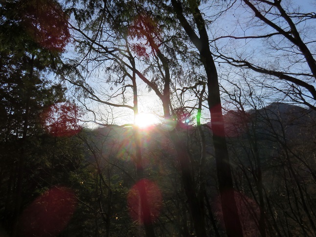 大寺山から三頭山の景色