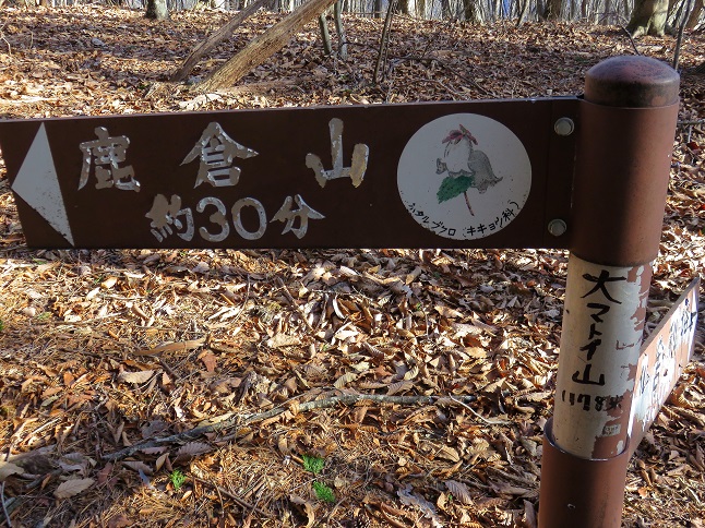 大マトイ山山頂