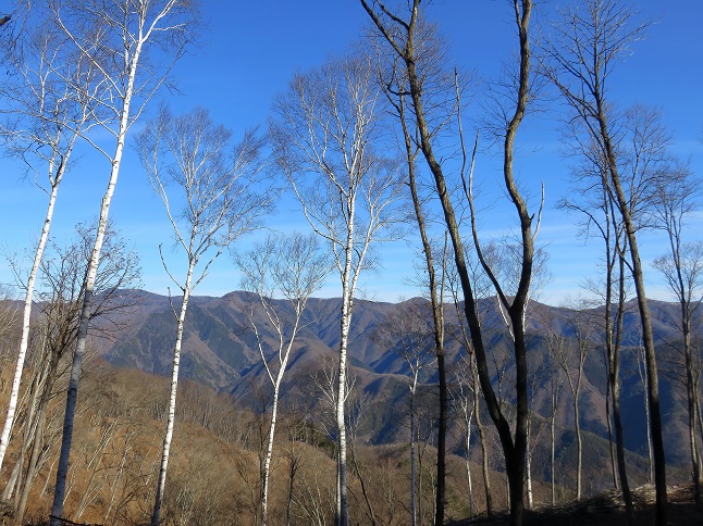 鹿倉山周辺から石尾根が一望