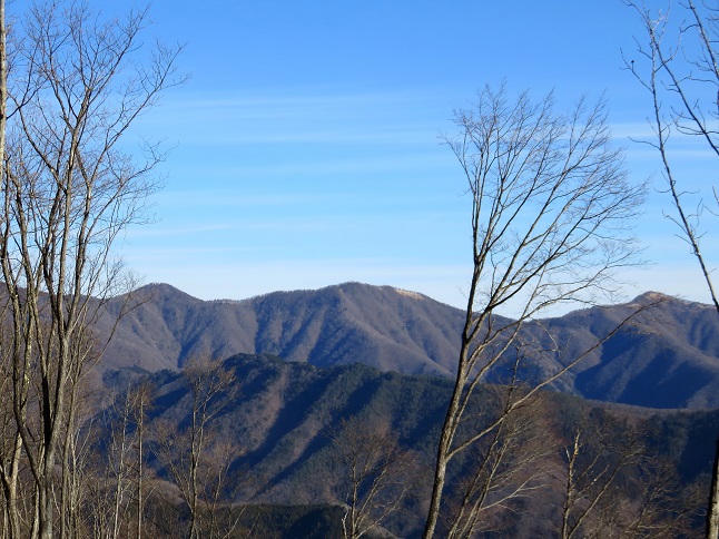 鹿倉山周辺から鷹ノ巣山景色