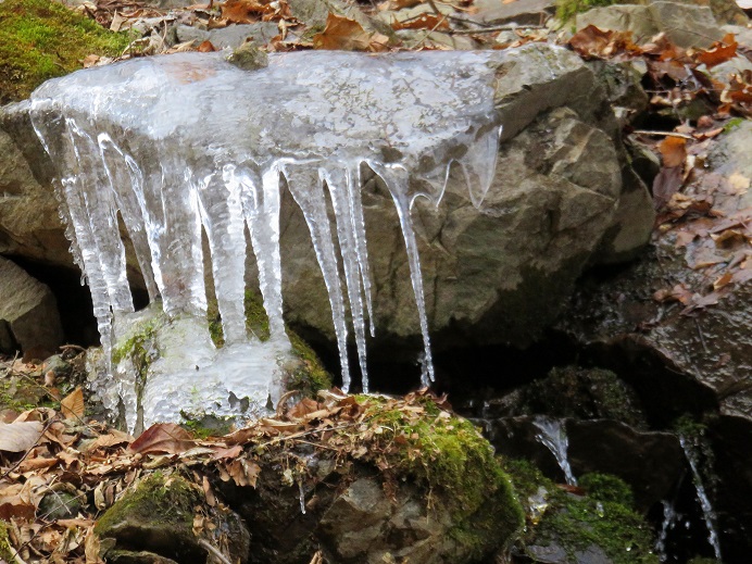 サオラ峠から三条の湯への登山ルート