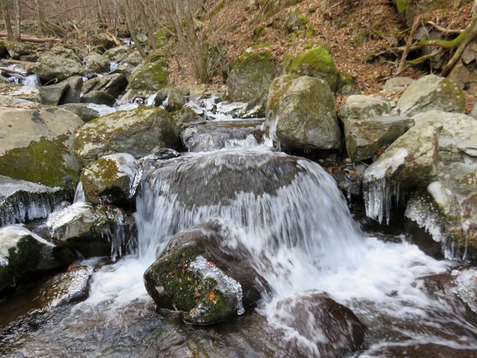 サオラ峠から三条の湯までのルートの沢沿い