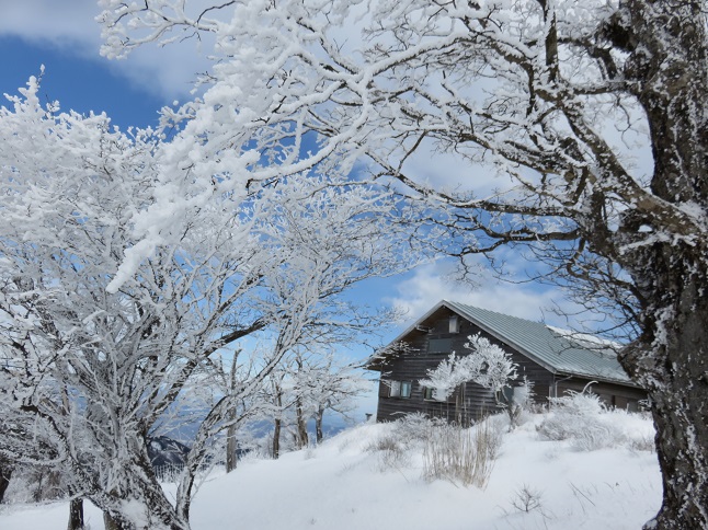 蛭ヶ岳山荘霧氷の森