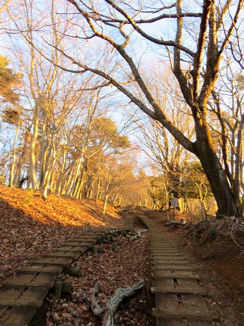 静寂は大倉尾根