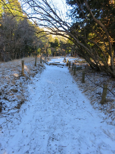標高1,100ｍ前後から雪