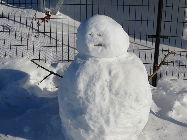 親戚のオジサンにソックリな雪だるま