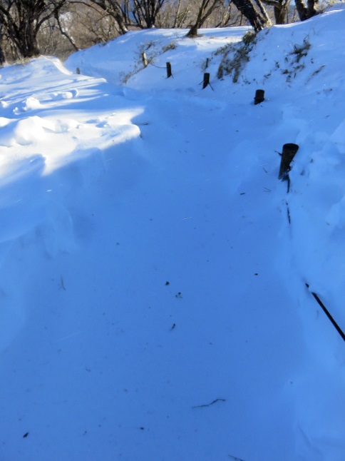 丹沢山雪深い