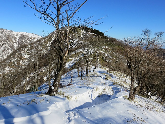 新雪歩き