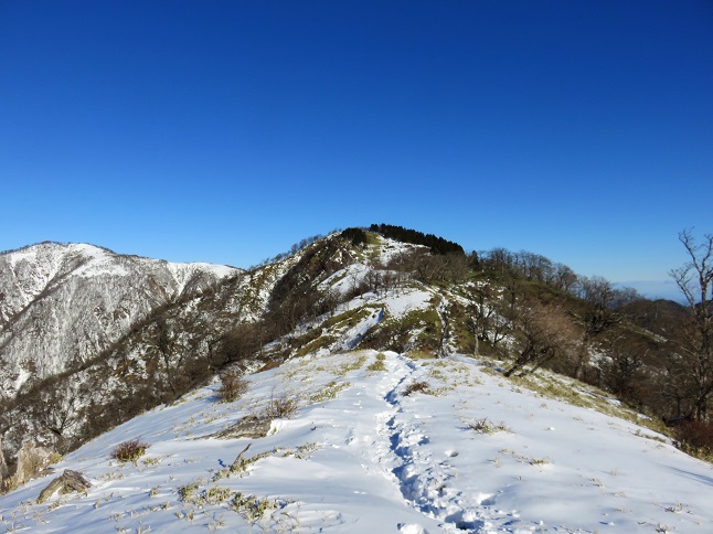 竜ヶ馬場