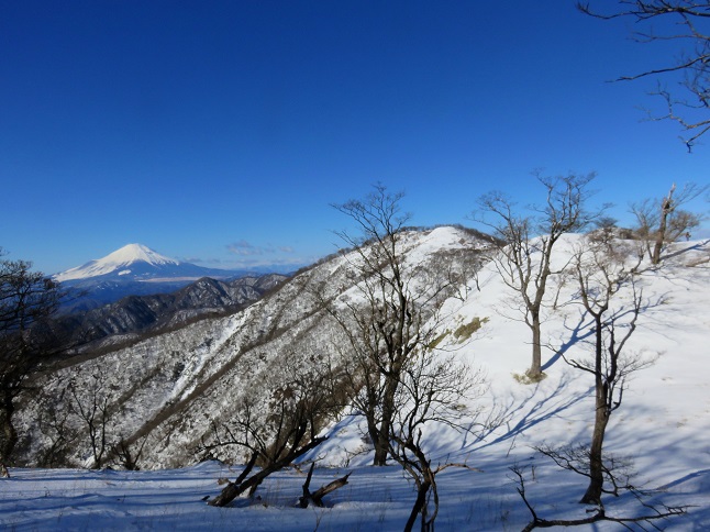 蛭ヶ岳日帰りピストンコース分岐