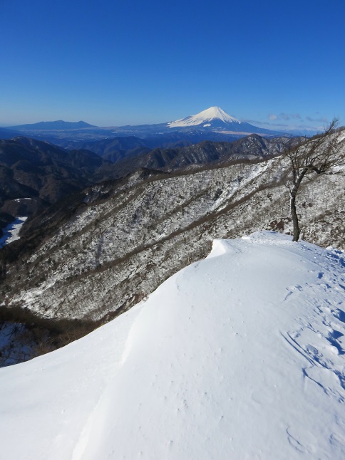 蛭ヶ岳日帰りコース富士山がとても綺麗