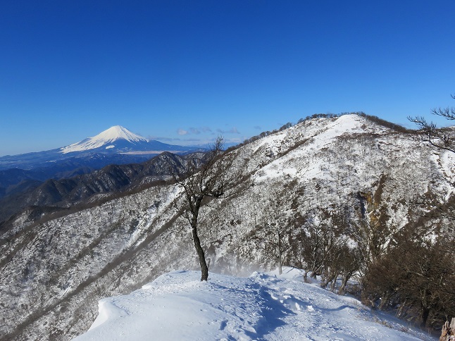 蛭ヶ岳日帰り厳しい積雪