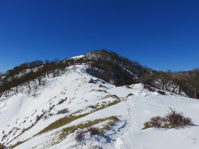 蛭ヶ岳登山本格的な雪道