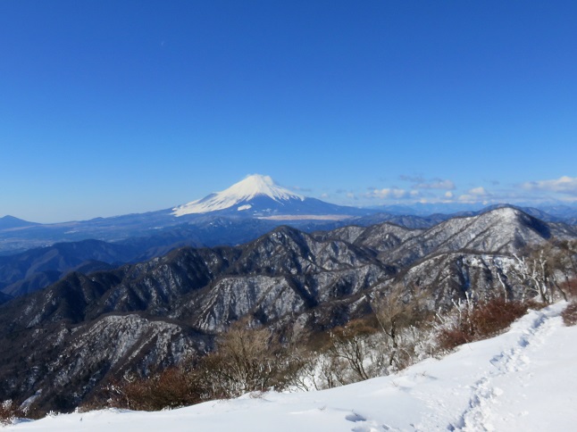 丹沢主脈縦走路から富士山の眺め