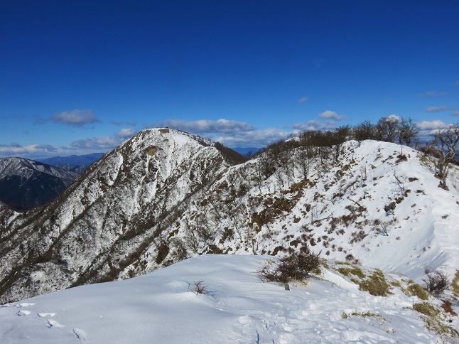 目指す蛭ヶ岳遠い