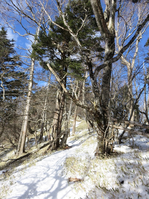 冬季の南大菩薩縦走