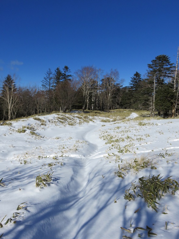 牛奥ノ雁ヶ腹摺山から小金沢山
