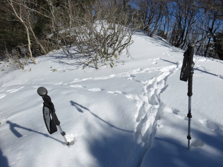 小金沢山まで遠い登山道