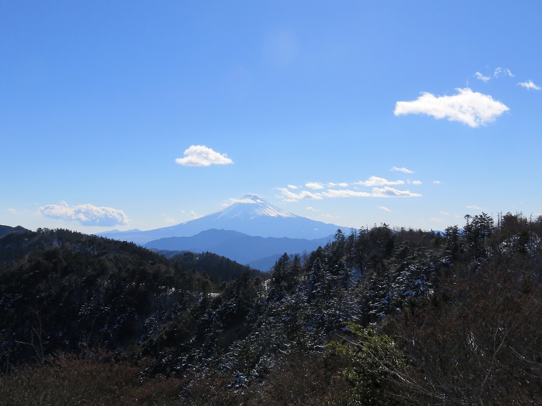 小金沢山山頂富士山景色