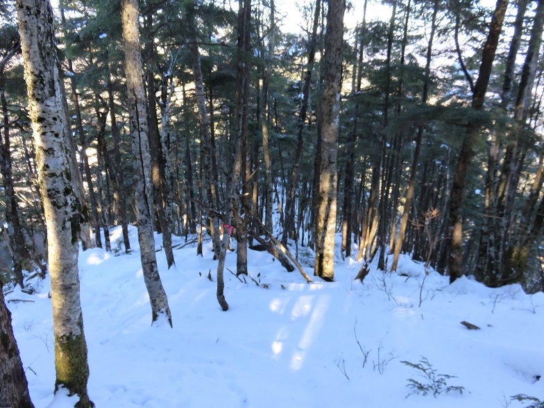 小金沢山直下積雪