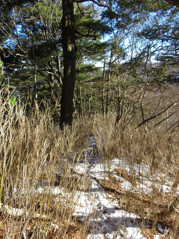 長峰の分岐から難路