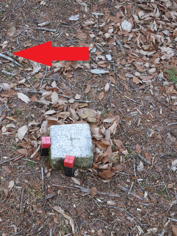 P939の三角点山ノ神