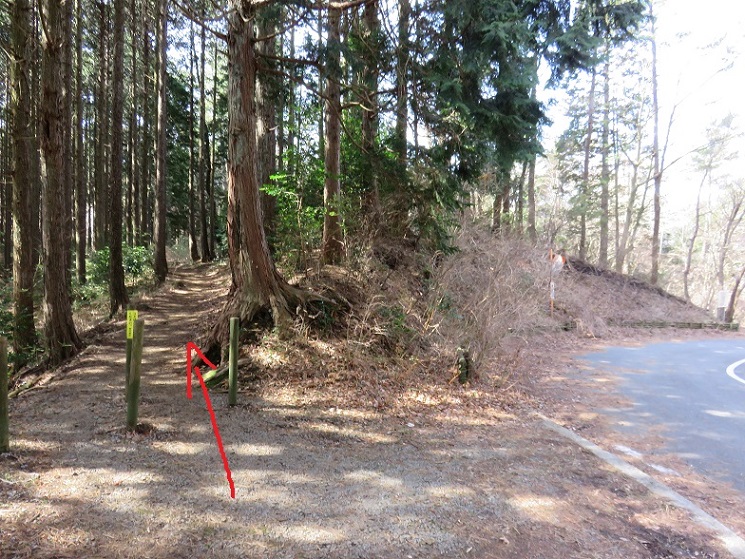 南郷山から幕山舗装路