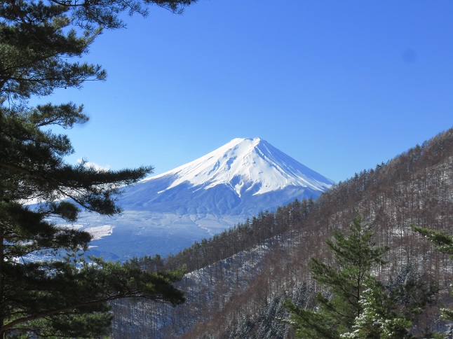 三つ峠山の登山道から富士山がとても綺麗