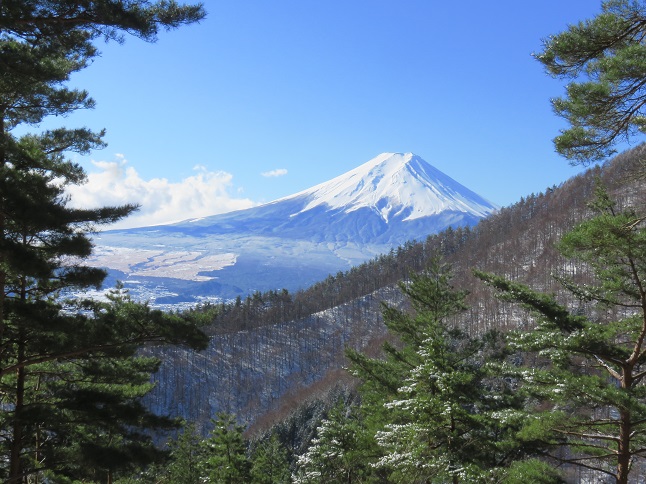 富士山と言ったら松
