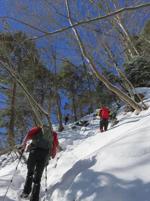 三つ峠山厳冬期は雪が多く積もる山域