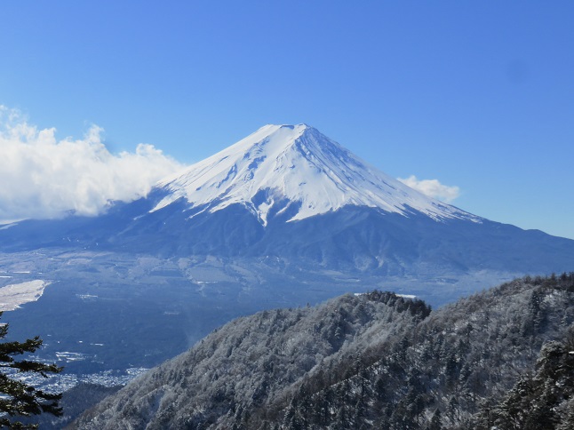 富士山景色が良すぎて