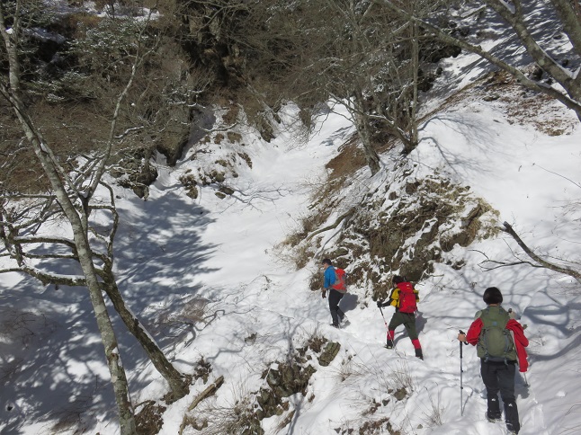 三つ峠山登山道が狭い