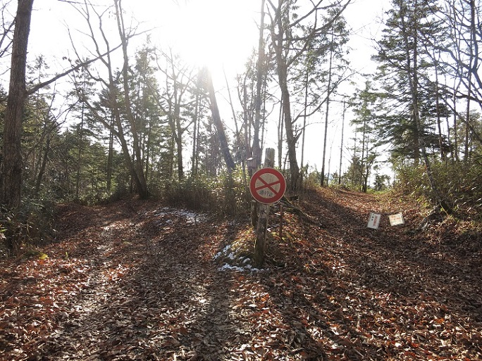 鳥小屋分岐石保戸山