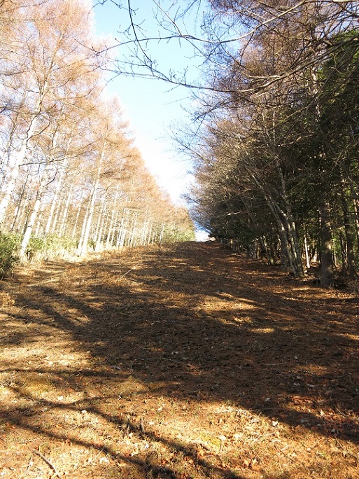 石保戸山へ登って行きます