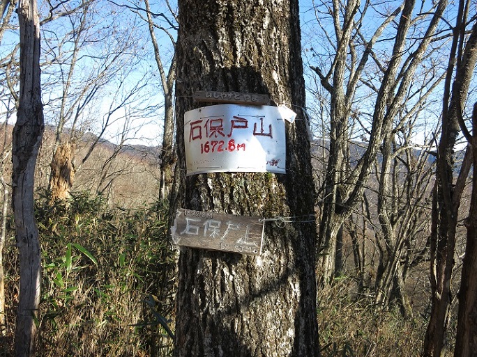 石保戸山の山頂