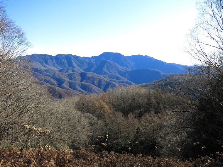 笠取山から唐松尾山の縦走路付近