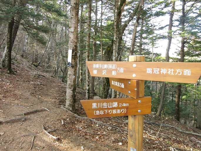 鶏冠山への分岐