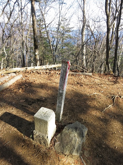 鶏冠山の三角点