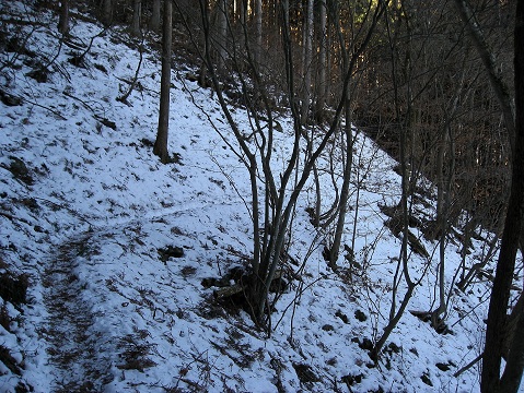 川苔山までの道のり